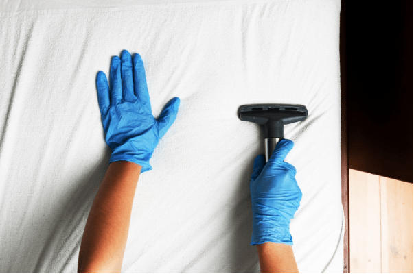 WHY HIRE PROFESSIONAL UPHOLSTERY CLEANING SERVICES IN SYDNEY?